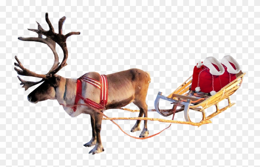 Detail Sleigh And Reindeer Clipart Nomer 44