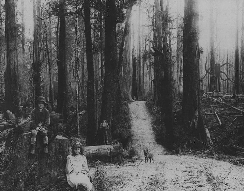 Detail Slender Man Original Photos Nomer 24