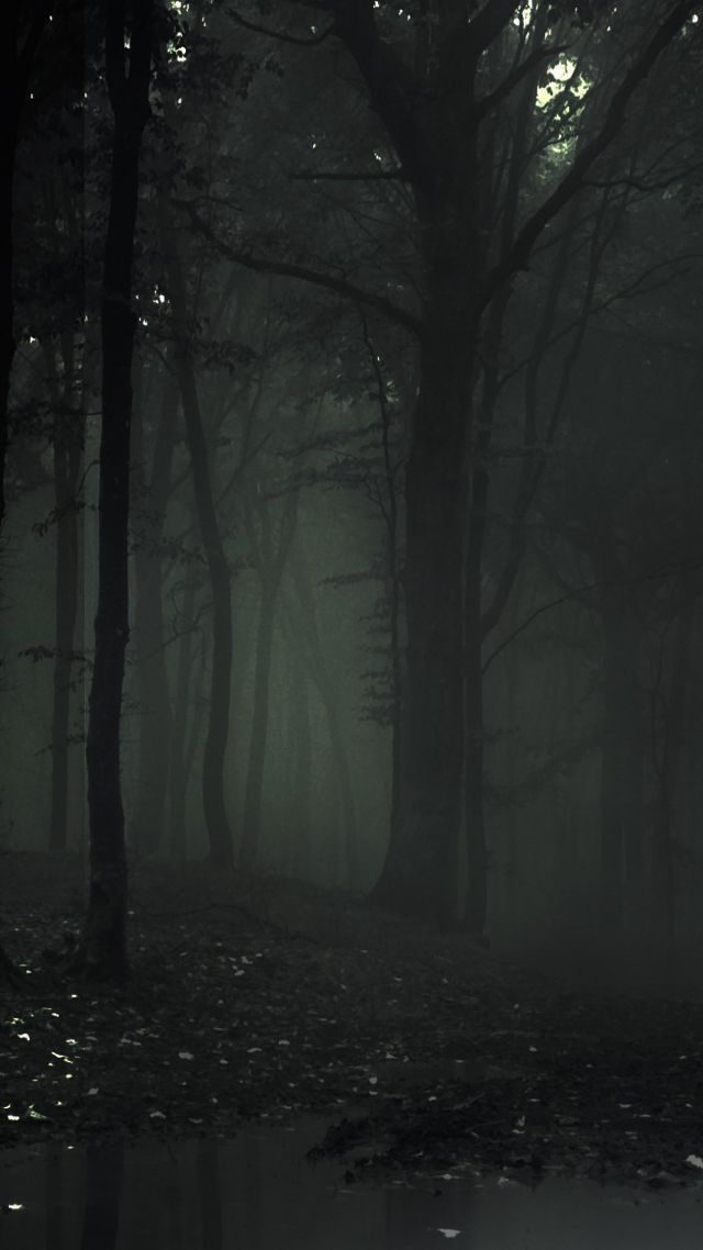 Detail Slender Man Wallpaper Iphone Nomer 16