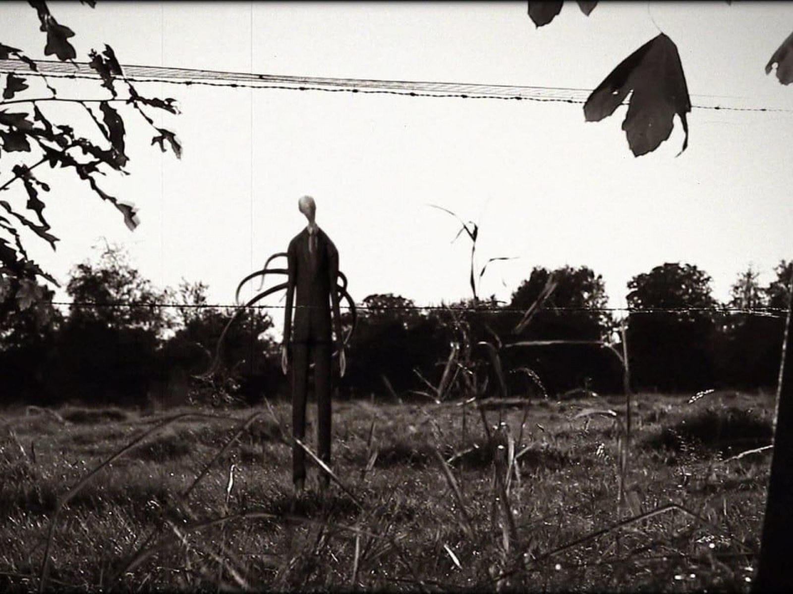 Detail Slenderman Photos Nomer 4