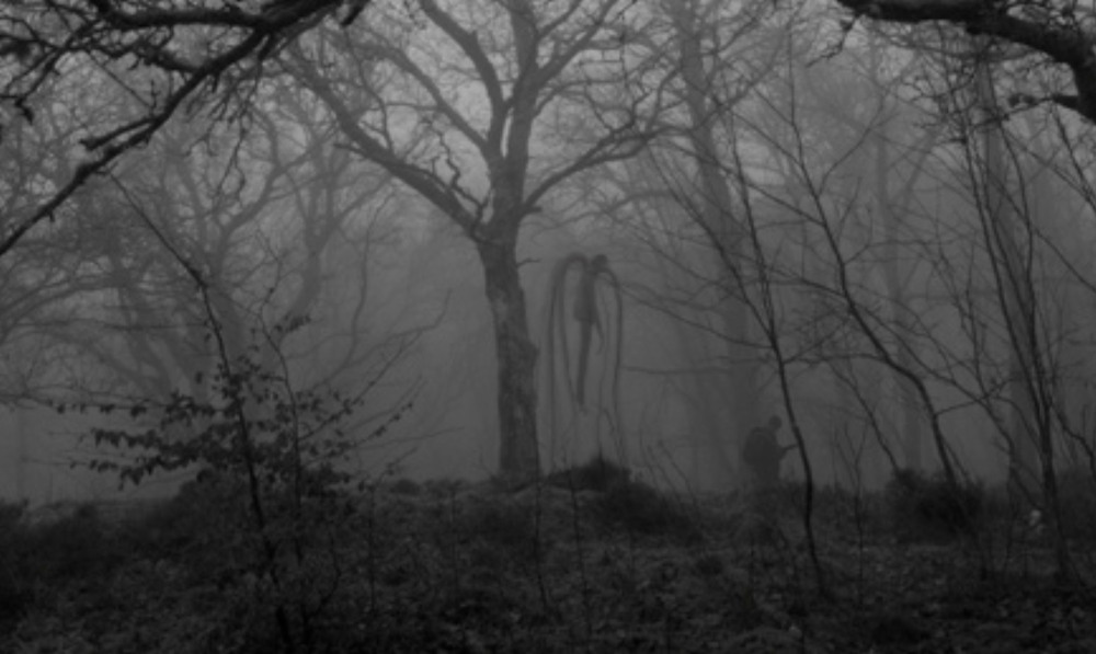 Detail Slenderman Photos Nomer 10