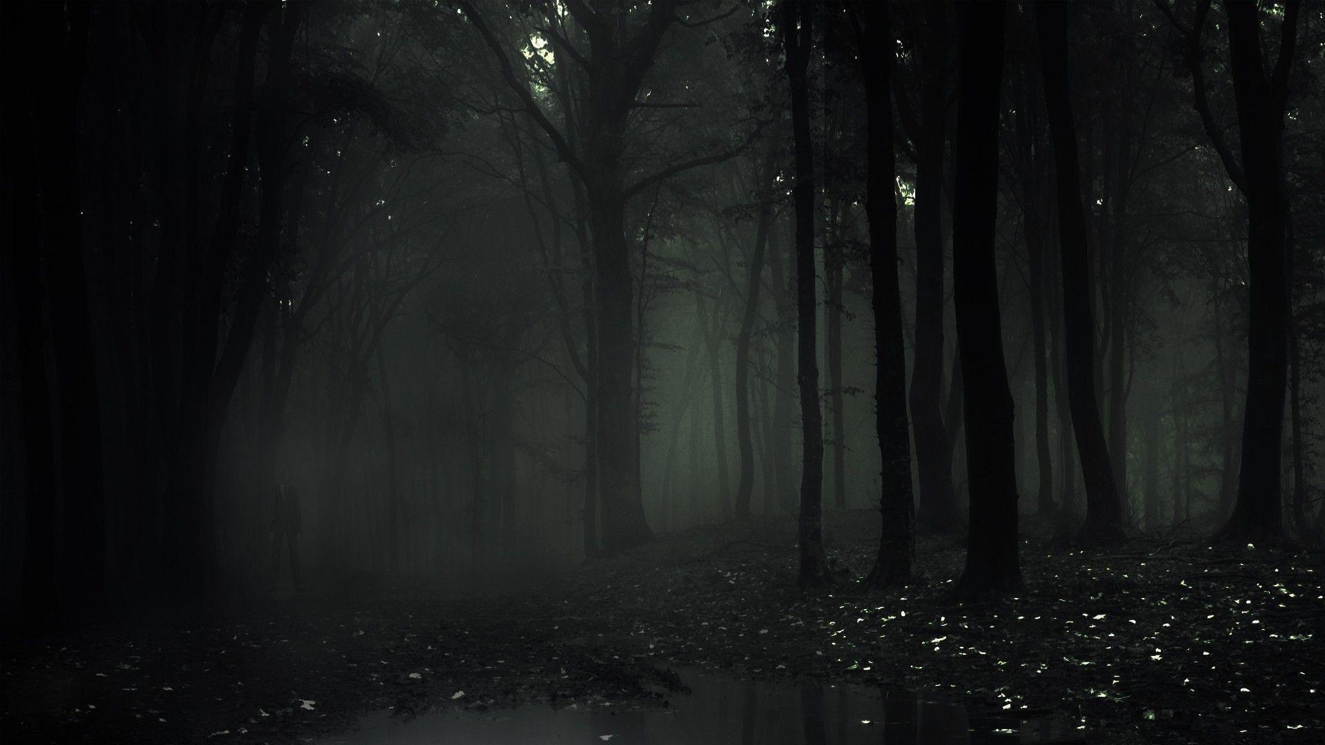 Detail Slenderman Wallpapers Nomer 15