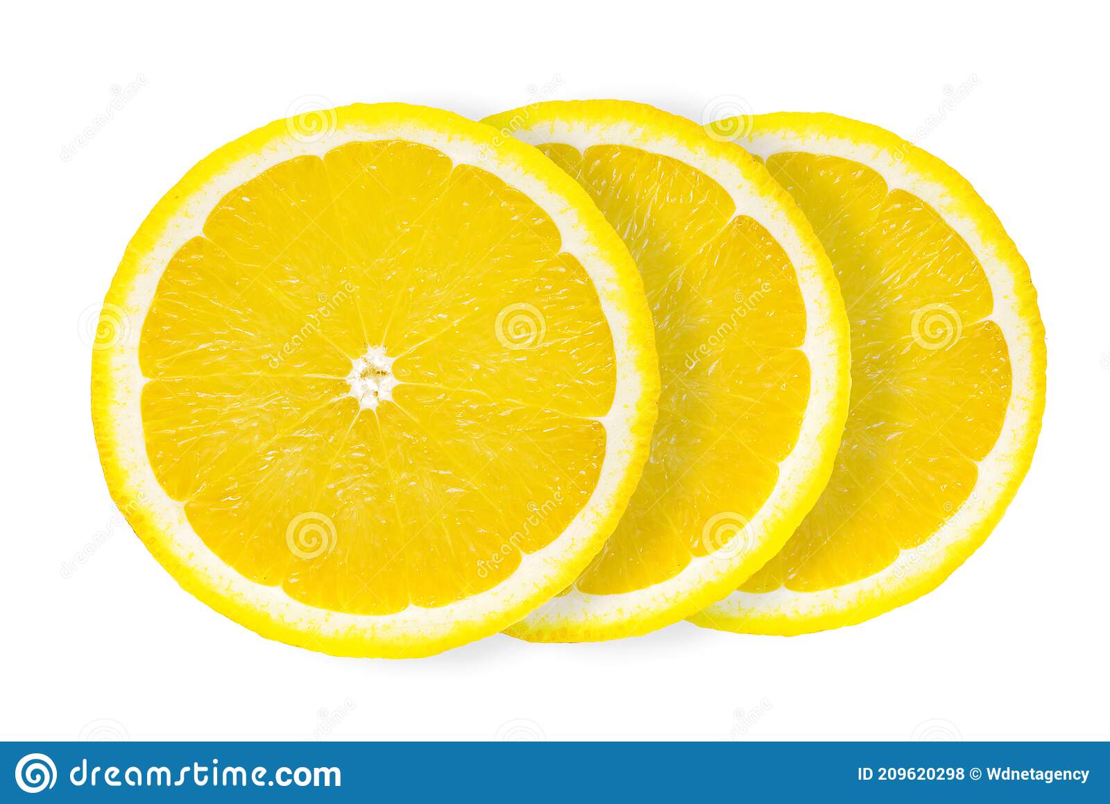 Detail Slice Lemon Png Nomer 14