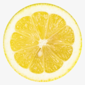 Detail Slice Lemon Png Nomer 32