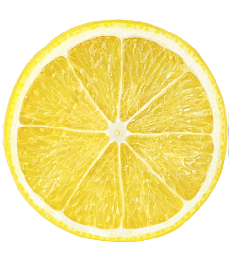 Detail Slice Lemon Png Nomer 33