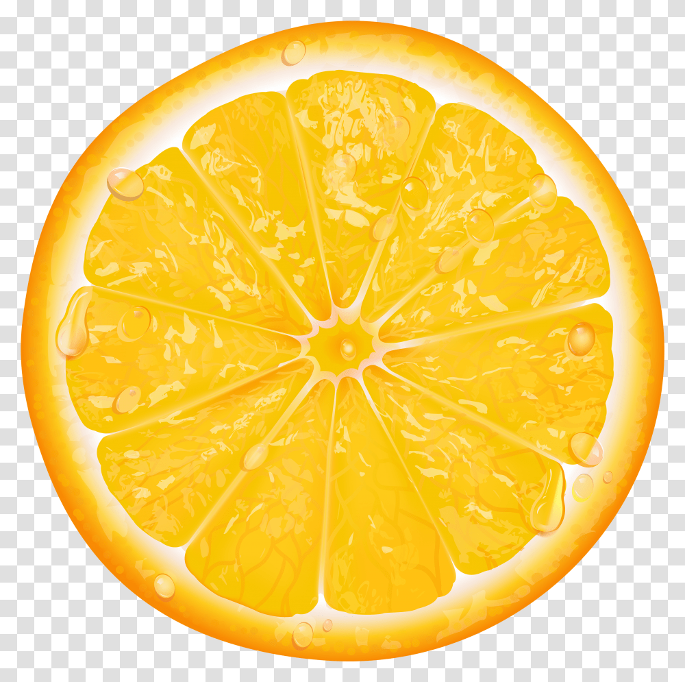 Detail Slice Lemon Png Nomer 39