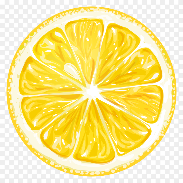 Detail Slice Lemon Png Nomer 48