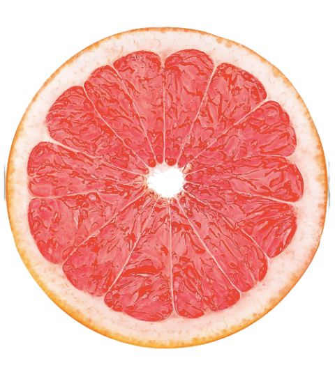 Detail Slice Png Nomer 47