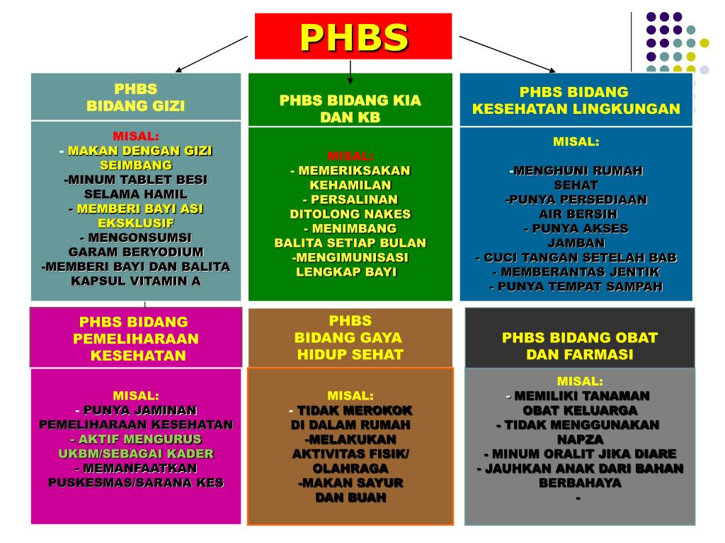 Detail Slide Phbs Di Sekolah Ppt Nomer 21