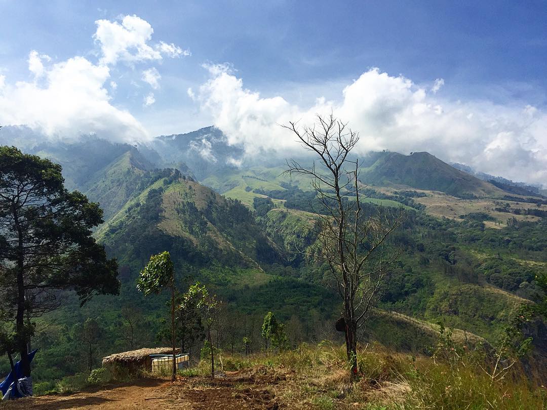 Detail Wisata Pemandangan Di Malang Nomer 27