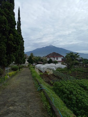 Detail Wisata Pemandangan Di Malang Nomer 30