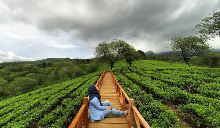 Detail Wisata Pemandangan Di Malang Nomer 6