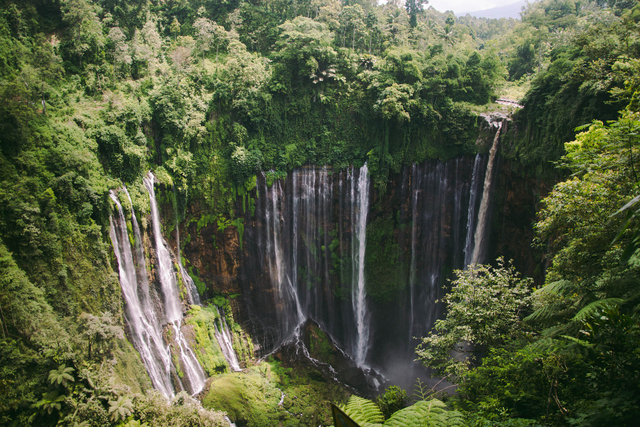 Detail Wisata Pemandangan Di Malang Nomer 53