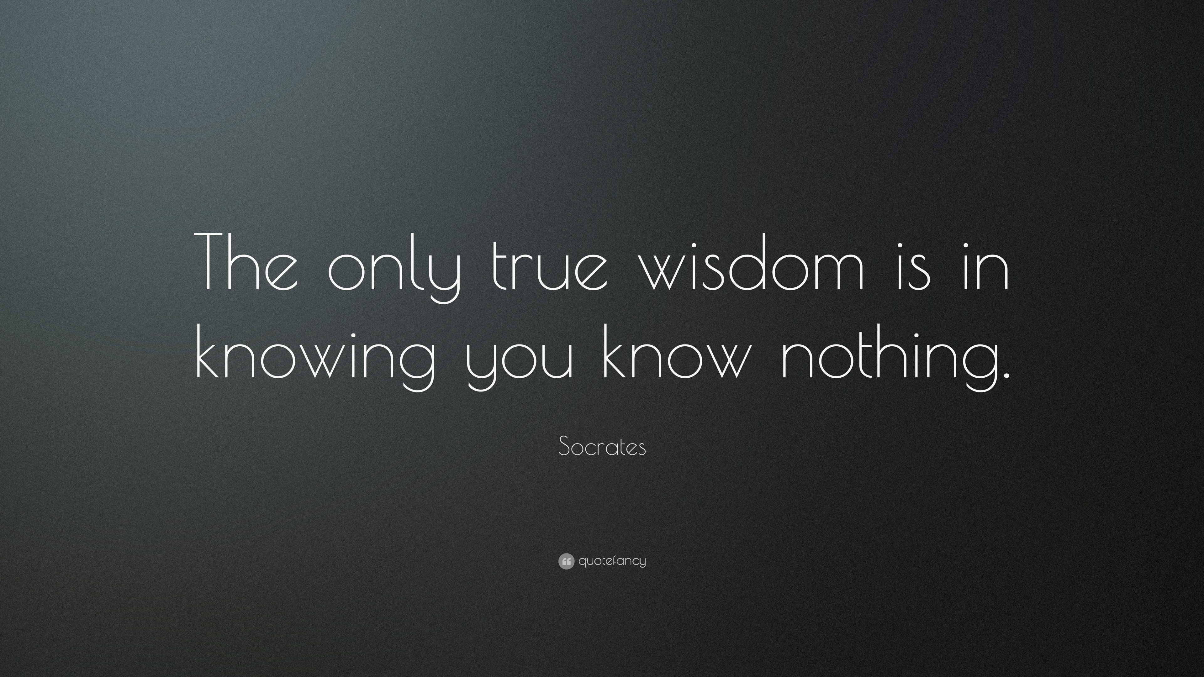 Detail Wisdom Quotes Wallpaper Nomer 2