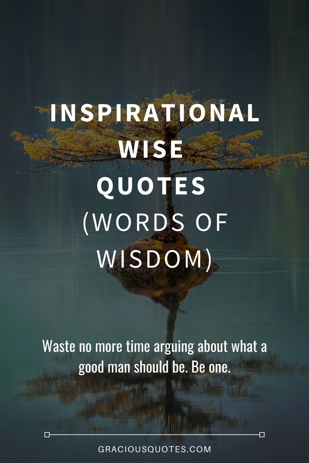 Detail Wise Life Quotes And Sayings Nomer 25