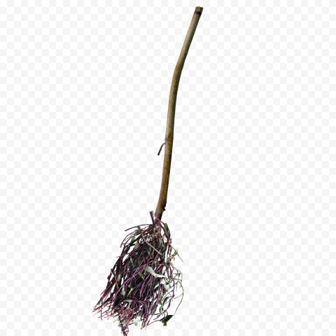 Detail Witch Broomstick Png Nomer 22