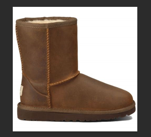 Detail Witch O Ugg Cup Nomer 15