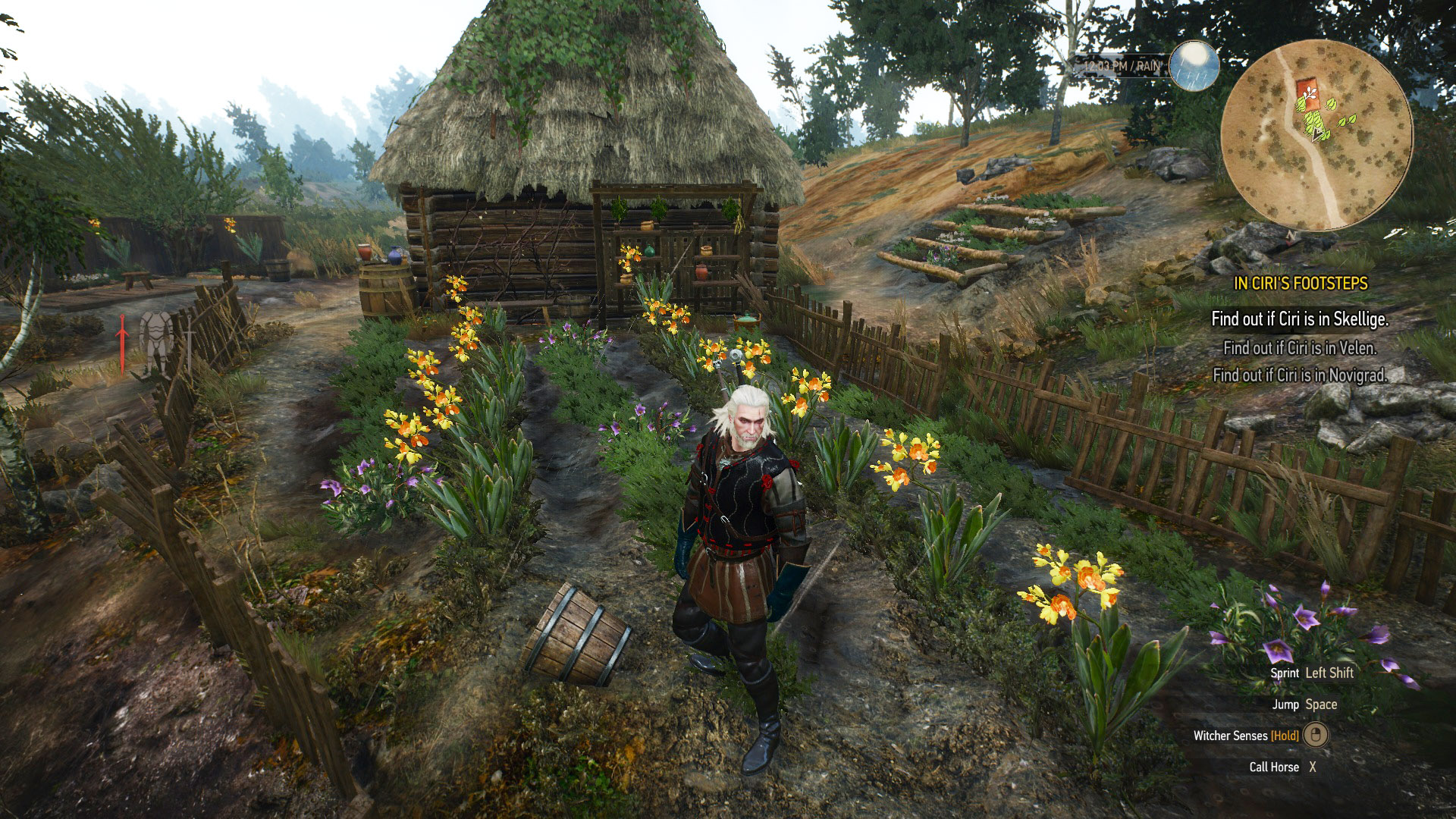 Detail Witcher 3 Buckthorn Location Nomer 9