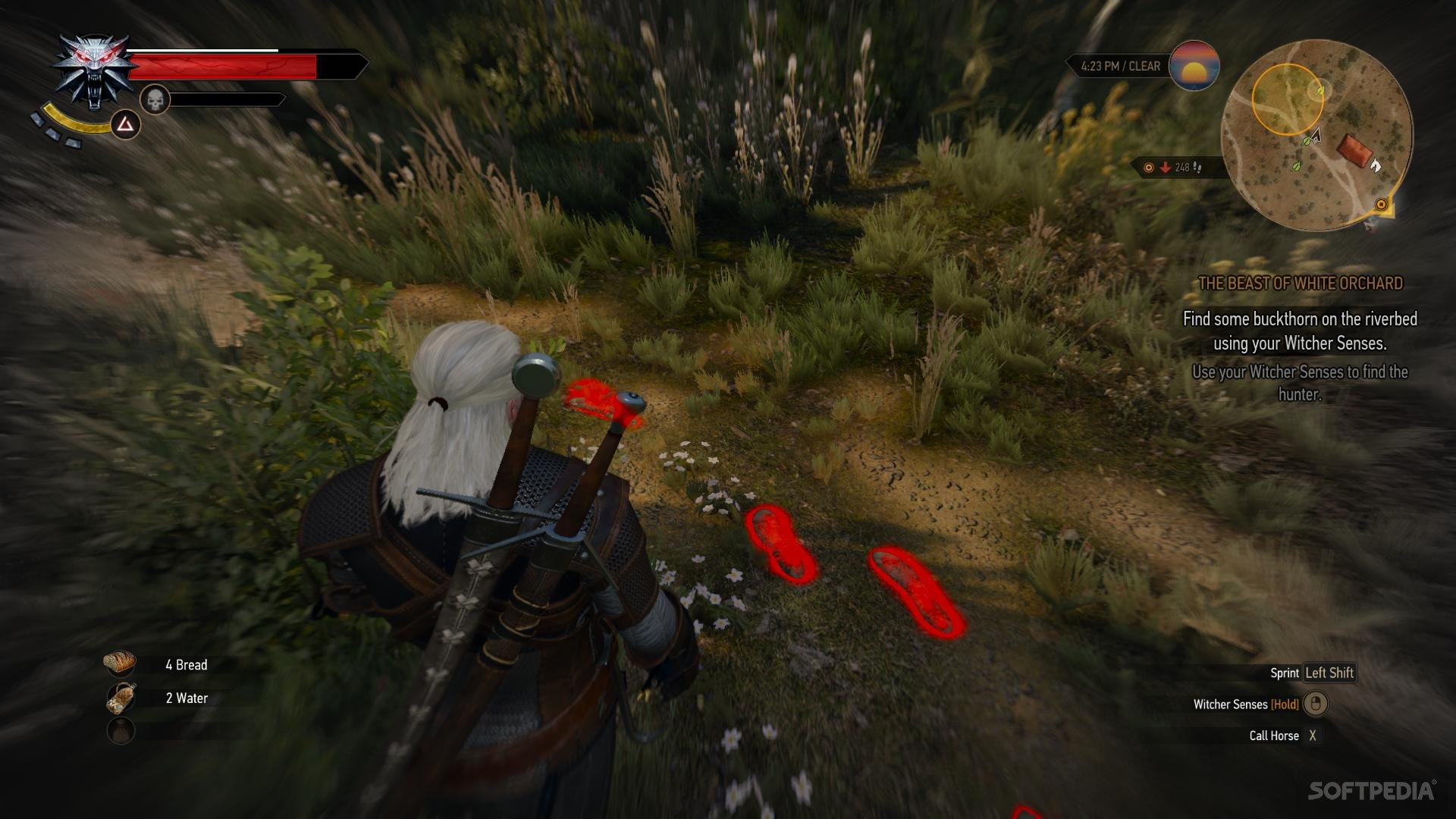 Detail Witcher 3 Buckthorn Location Nomer 15