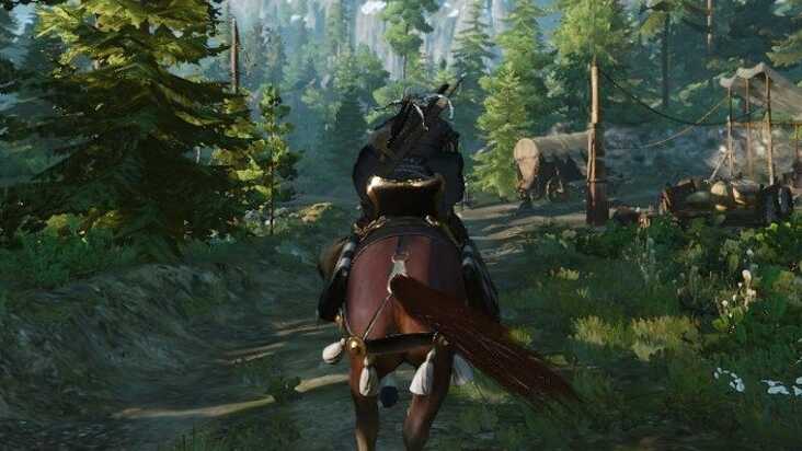 Detail Witcher 3 Buckthorn Location Nomer 21