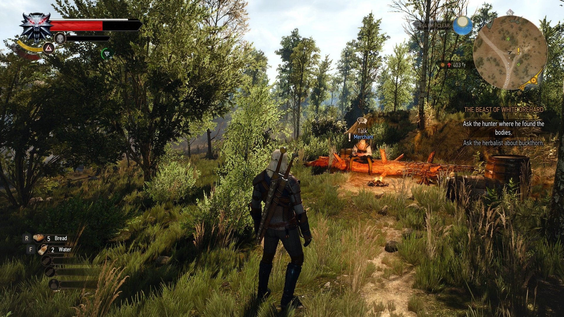 Detail Witcher 3 Buckthorn Location Nomer 29