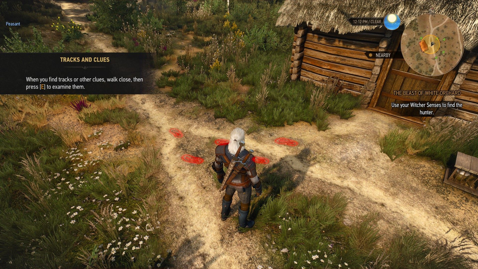 Detail Witcher 3 Buckthorn Location Nomer 39