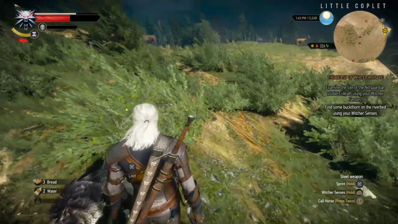 Detail Witcher 3 Buckthorn Location Nomer 5