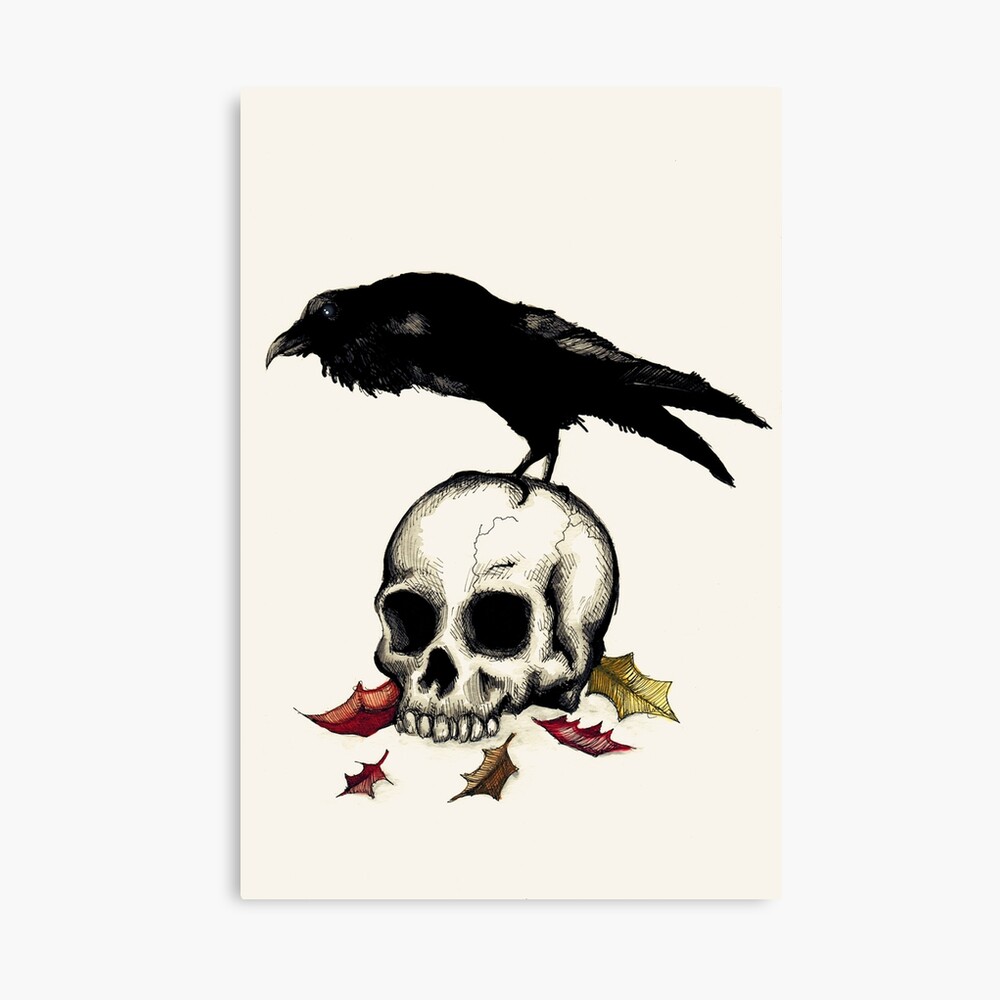 Detail Witcher 3 Crow Skull Nomer 30