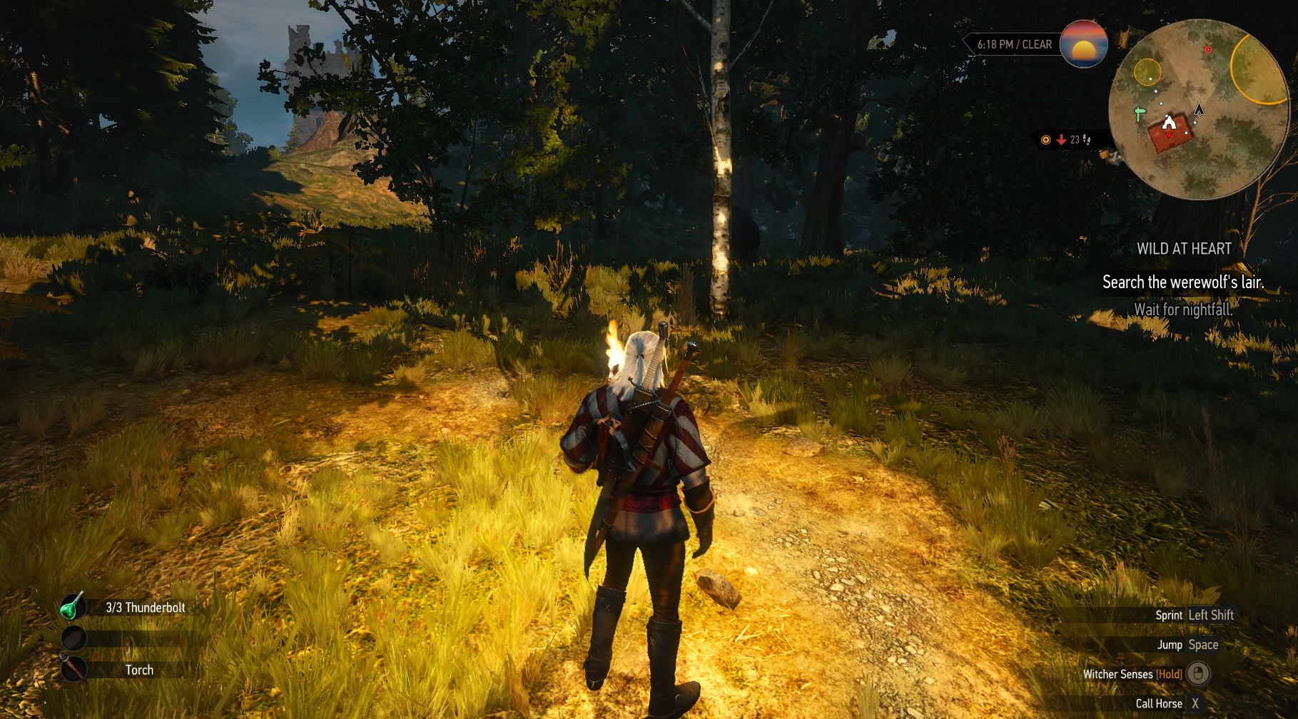 Detail Witcher 3 Cursor Stuck On Screen Nomer 16