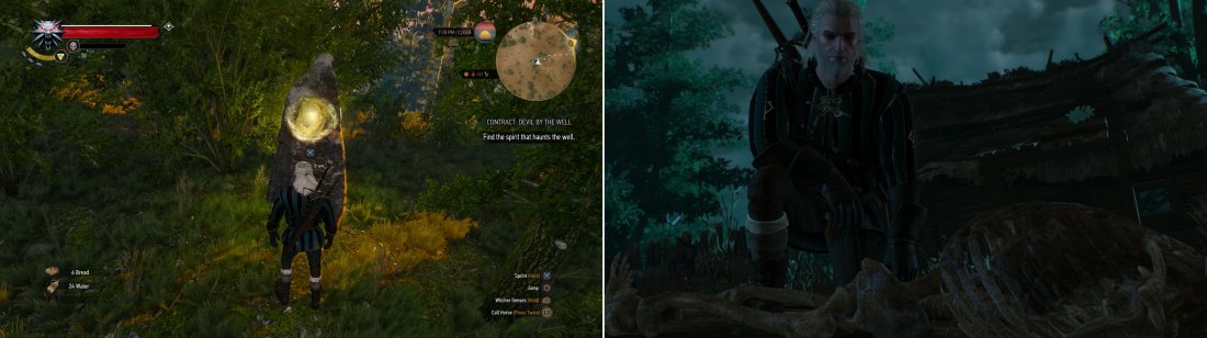 Detail Witcher 3 Emerald Dust Nomer 51