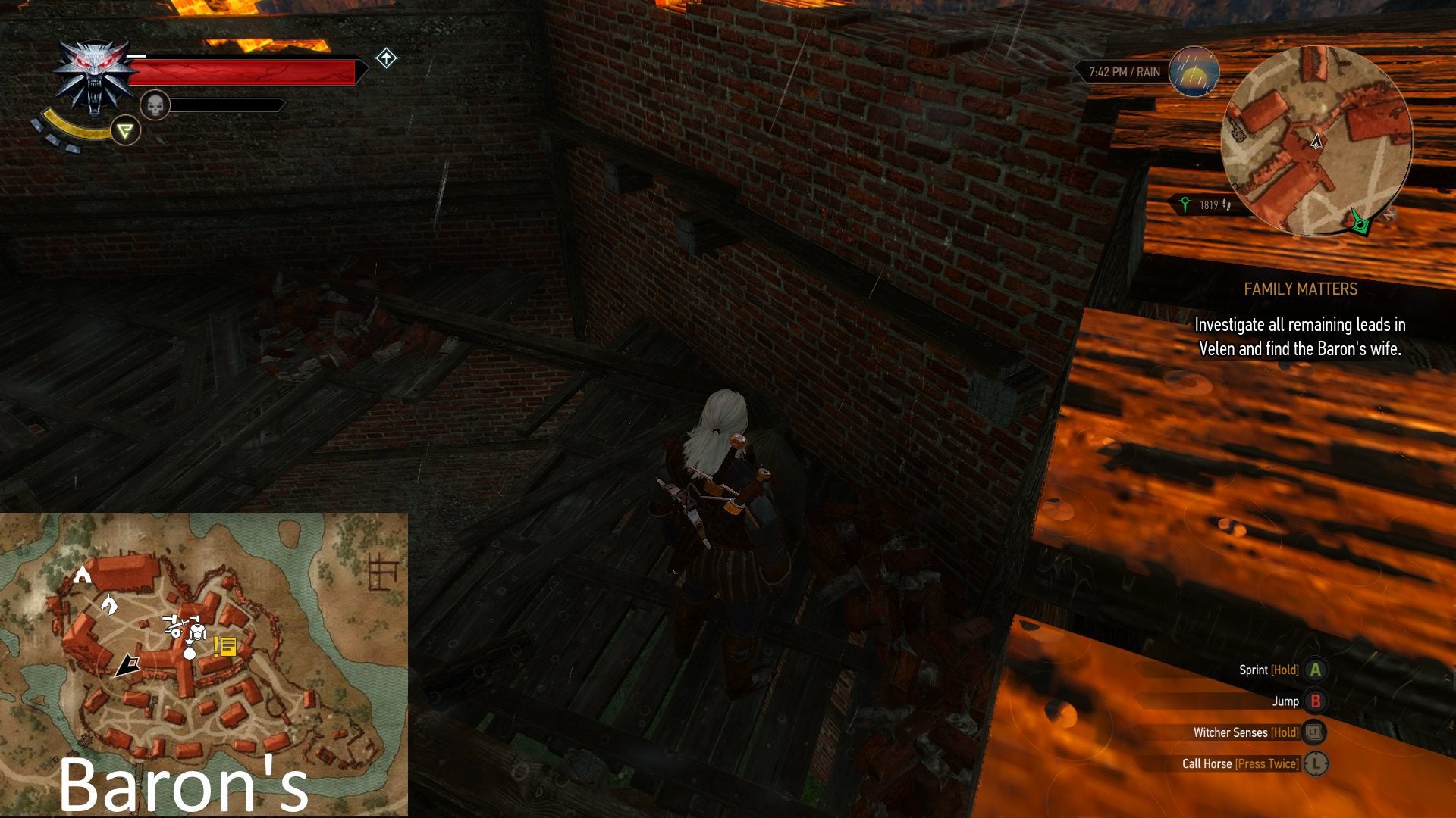 Detail Witcher 3 Emerald Dust Nomer 8