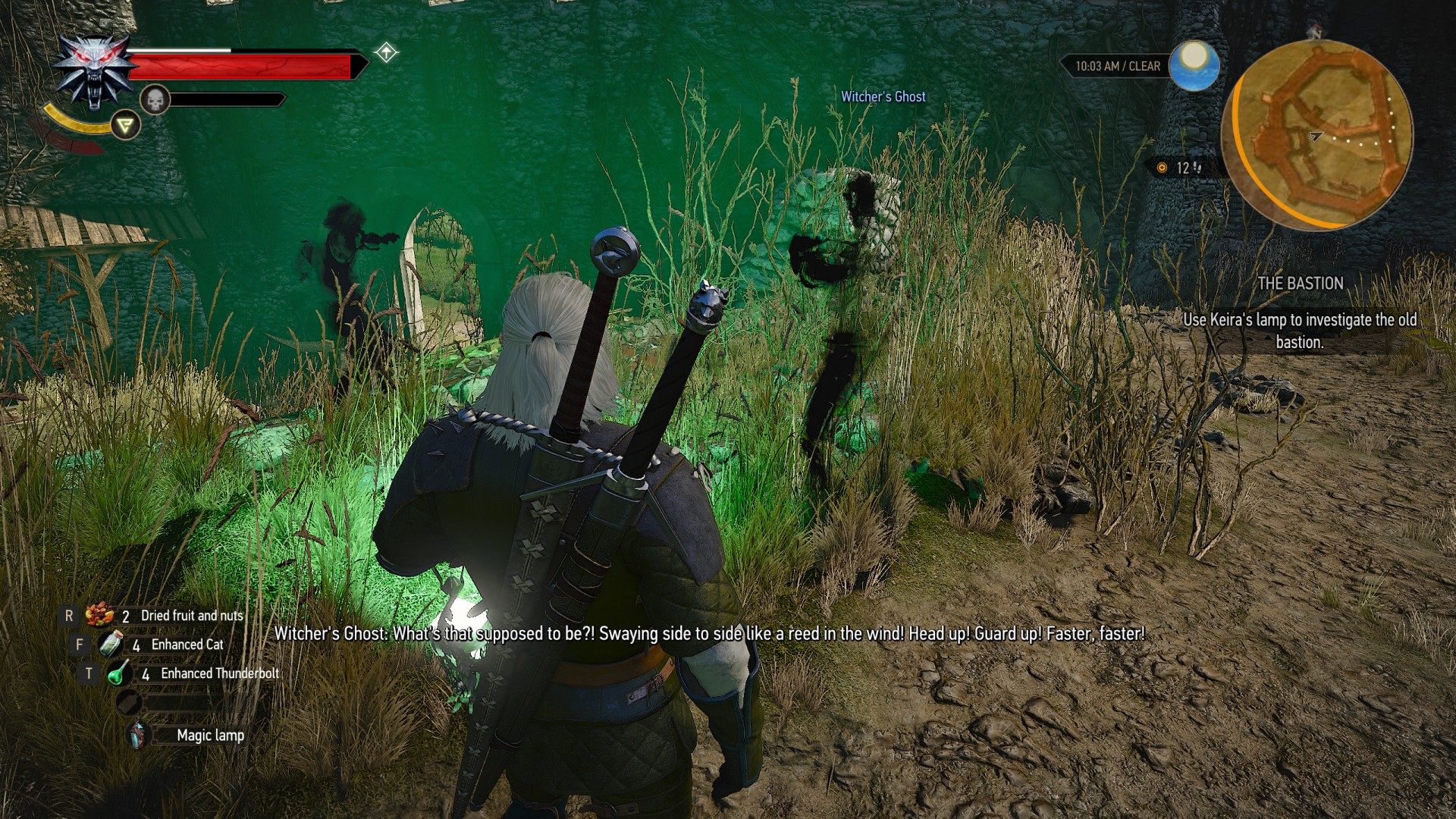 Detail Witcher 3 How To Use Magic Lamp Pc Nomer 33