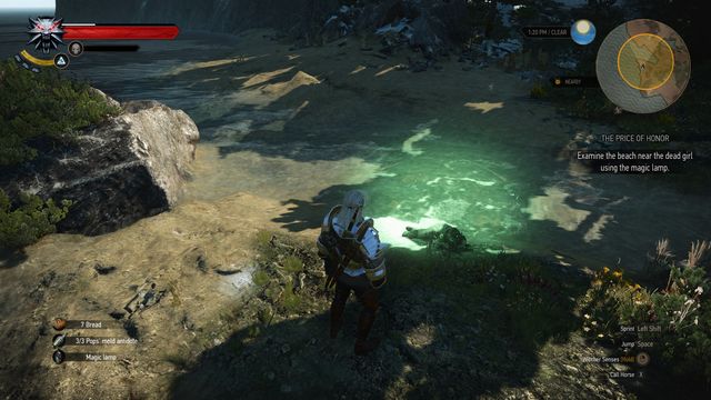 Detail Witcher 3 How To Use Magic Lamp Pc Nomer 48