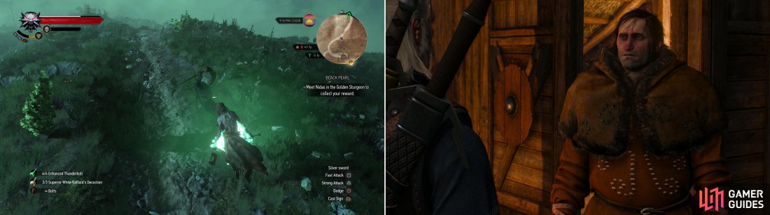 Detail Witcher 3 Lighthouse Bridge Nomer 21