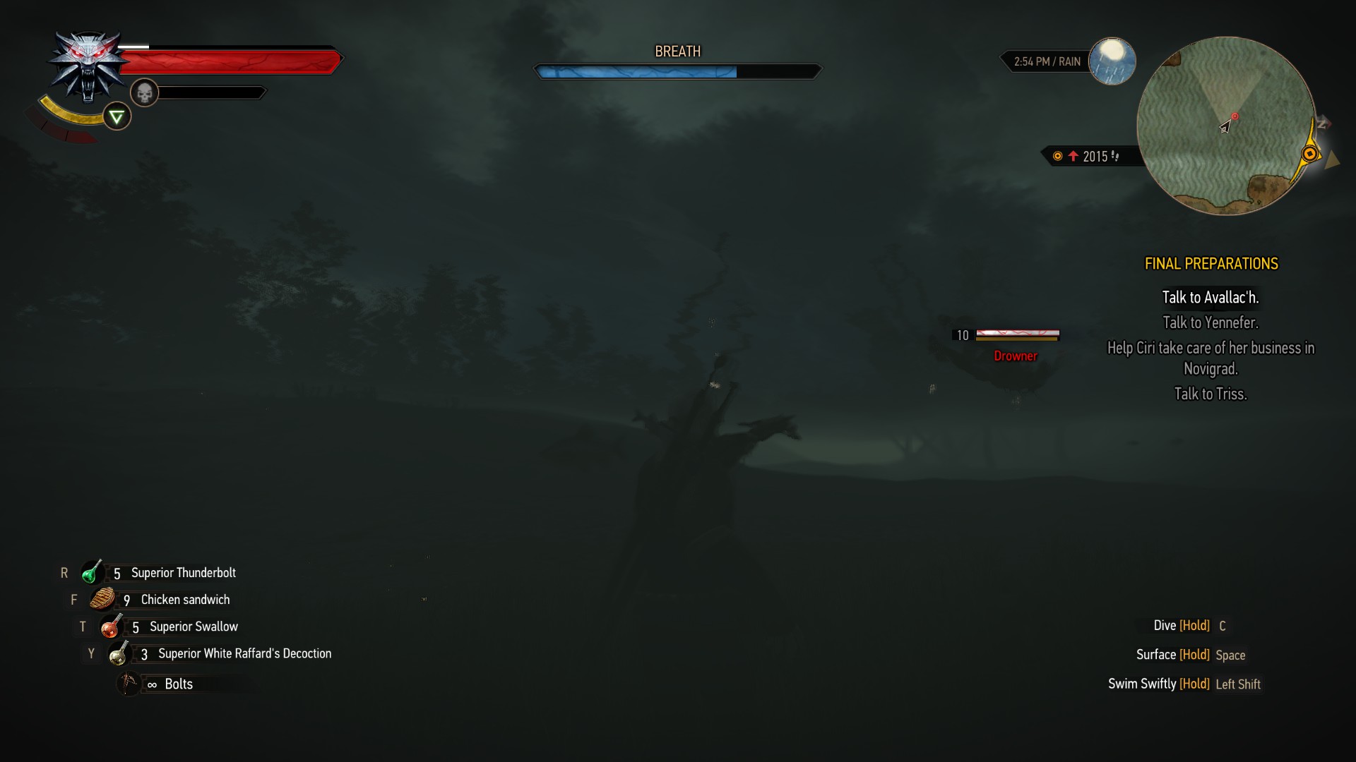 Detail Witcher 3 Lighthouse Bridge Nomer 23