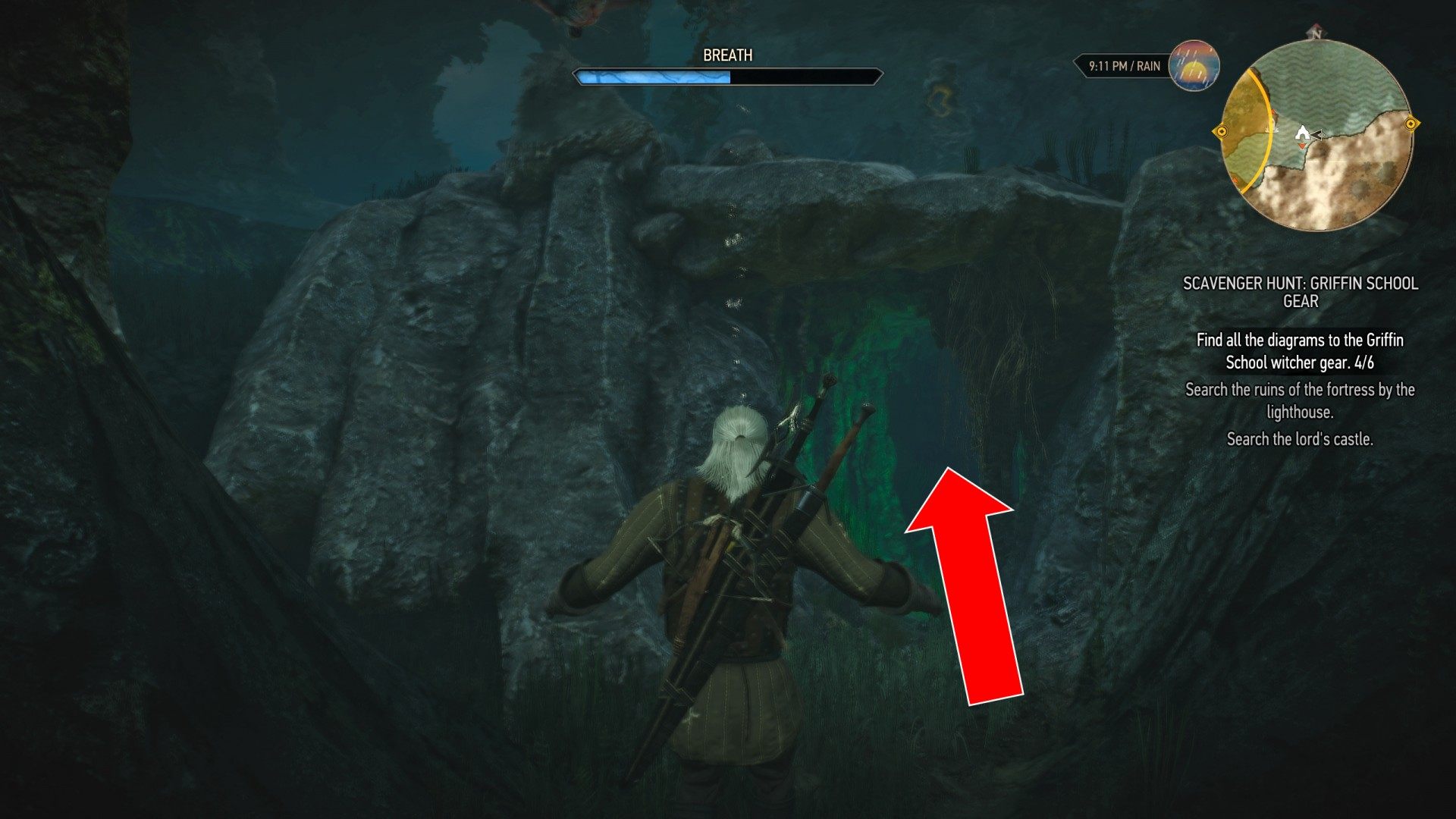 Detail Witcher 3 Lighthouse Griffin Nomer 4