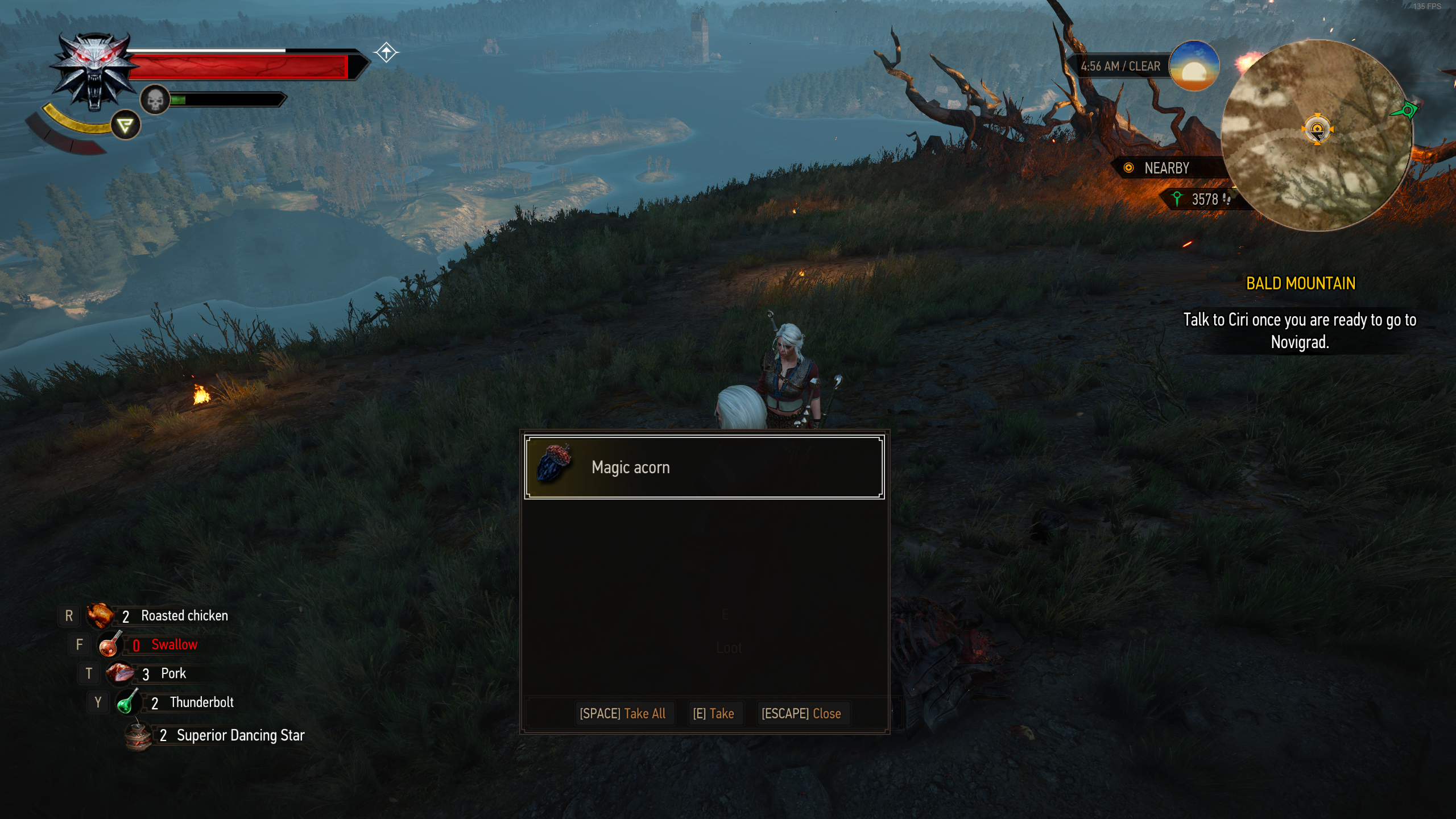 Detail Witcher 3 Magic Acorn Nomer 23