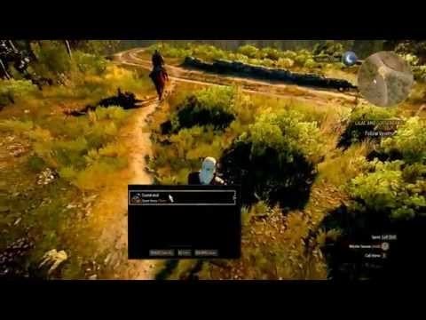 Detail Witcher 3 Magic Acorn Nomer 24