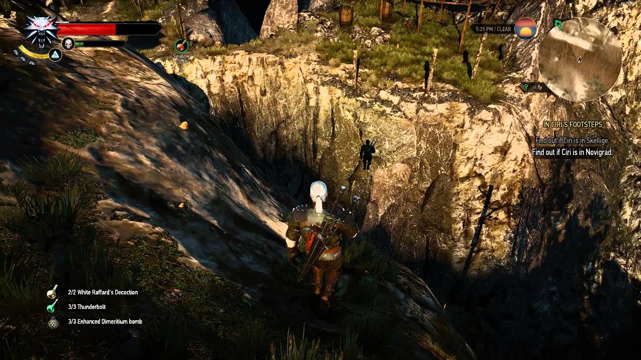 Detail Witcher 3 Magic Acorn Nomer 37