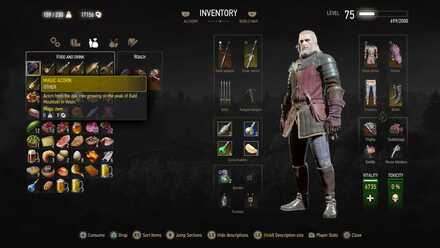 Witcher 3 Magic Acorn Use - KibrisPDR