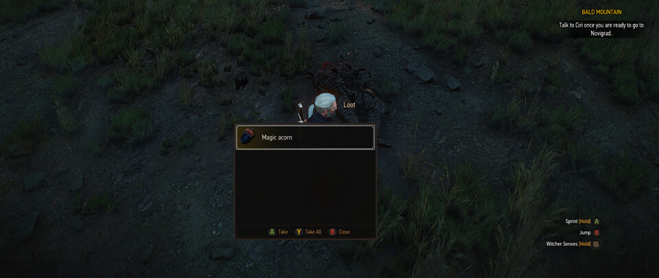 Detail Witcher 3 Magic Acorn Use Nomer 11
