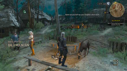 Detail Witcher 3 Magic Acorn Use Nomer 12
