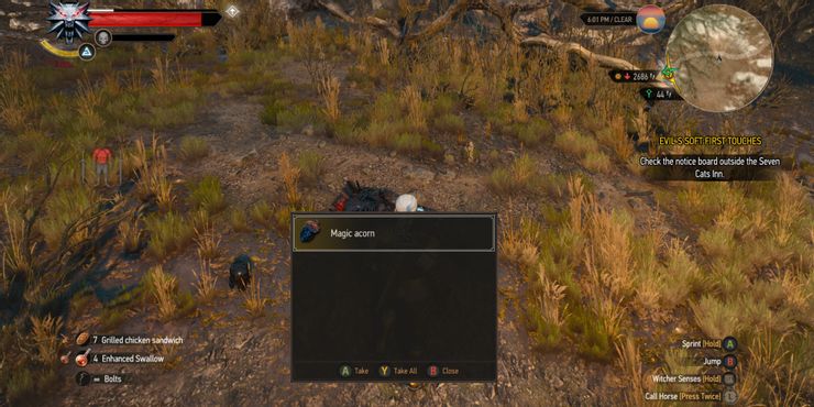 Detail Witcher 3 Magic Acorn Use Nomer 15
