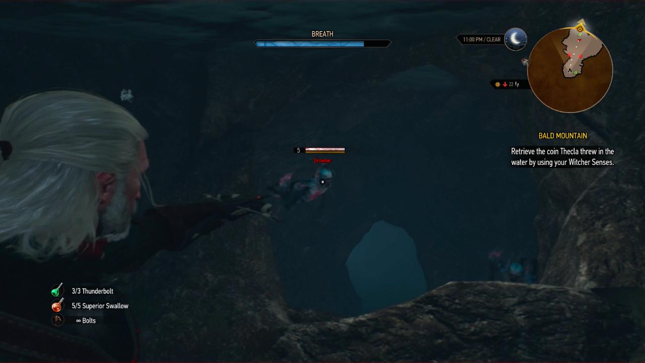 Detail Witcher 3 Magic Acorn Use Nomer 19