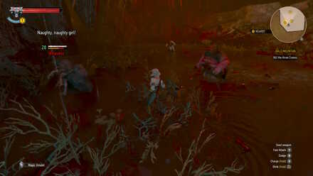 Detail Witcher 3 Magic Acorn Use Nomer 20