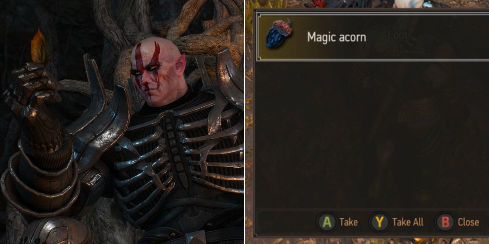 Detail Witcher 3 Magic Acorn Use Nomer 3