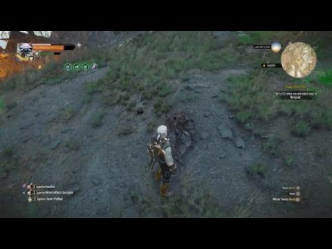Detail Witcher 3 Magic Acorn Use Nomer 21