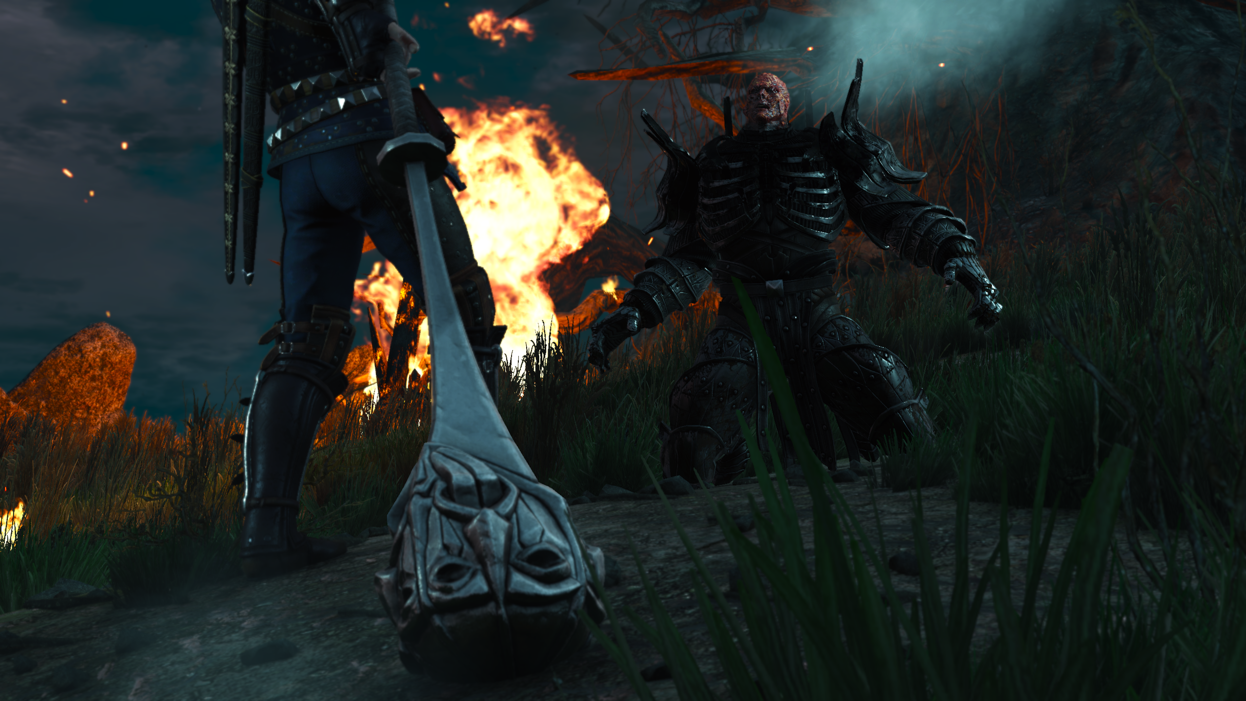 Detail Witcher 3 Magic Acorn Use Nomer 24