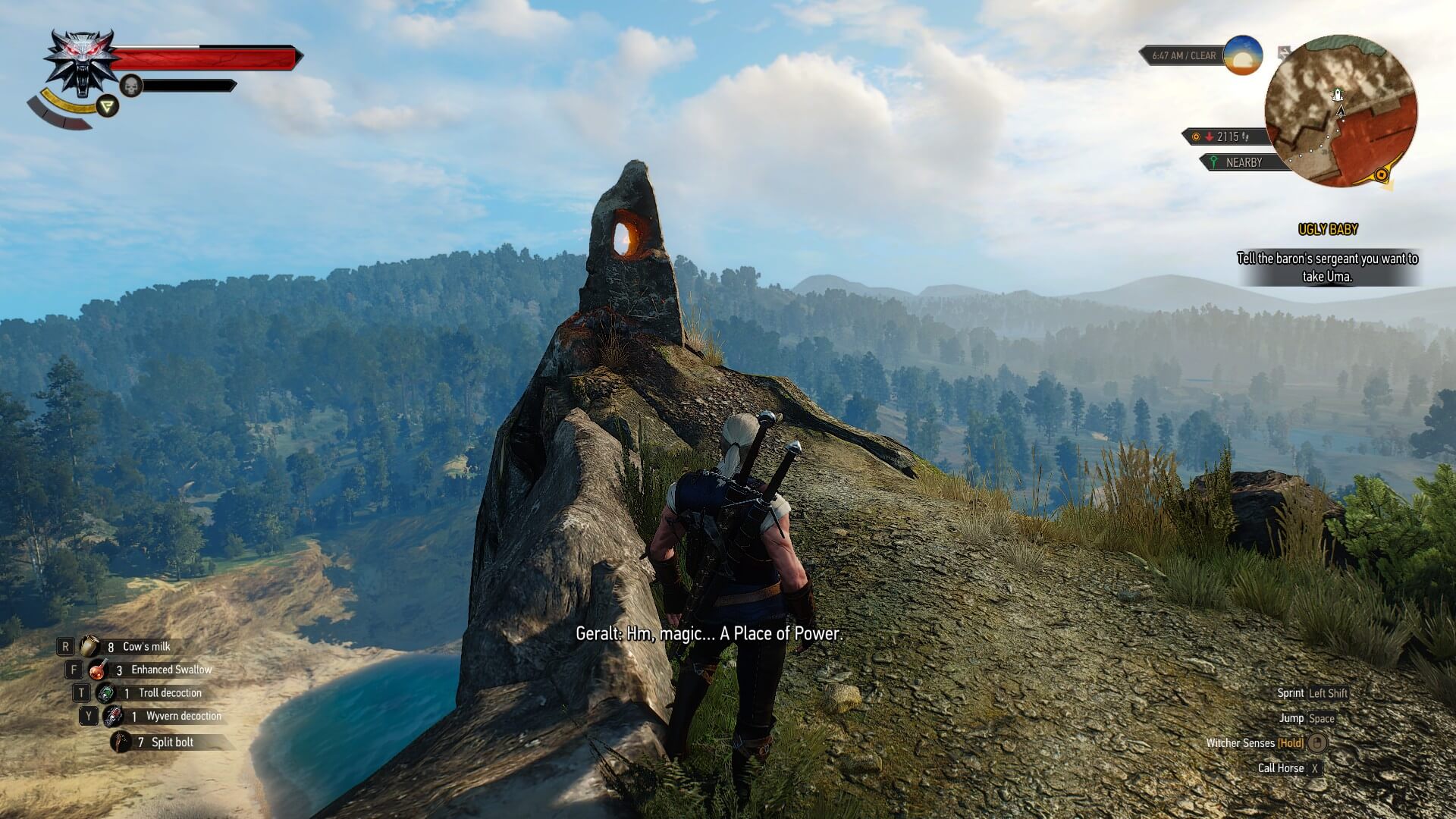 Detail Witcher 3 Magic Acorn Use Nomer 32