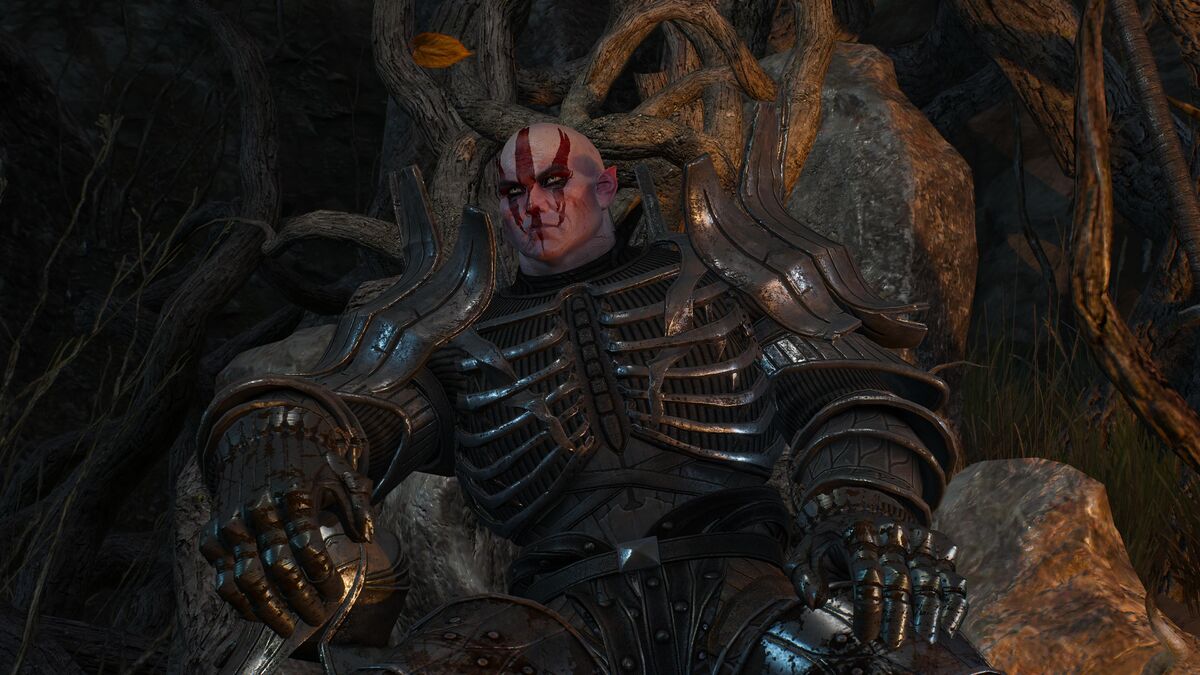 Detail Witcher 3 Magic Acorn Use Nomer 33